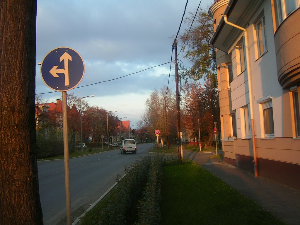 PICT0158.JPG