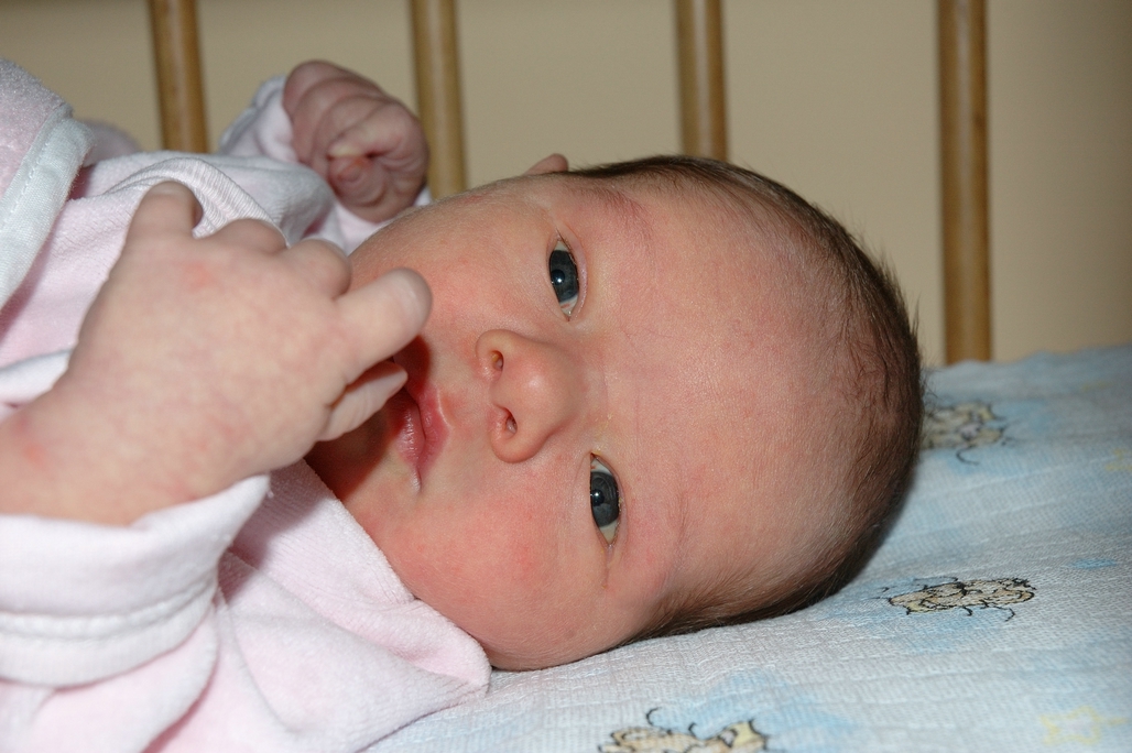 DSC_2127.jpg