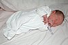 DSC_2111.jpg