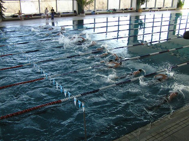 fuzfo_P1213089.JPG
