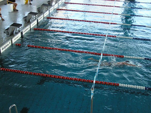 fuzfo_P1213098.JPG