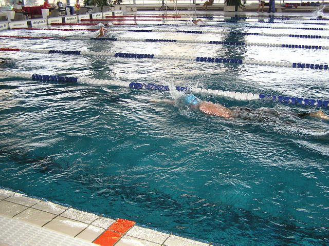 fuzfo_P1213118.JPG
