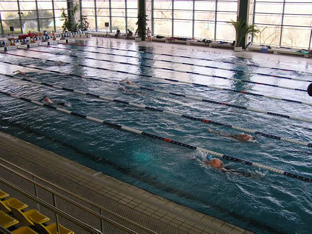 fuzfo_P1213126.JPG