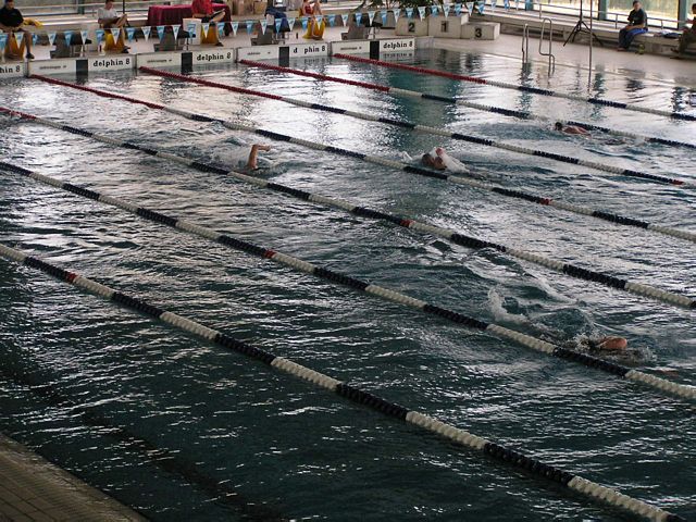 fuzfo_P1213127.JPG