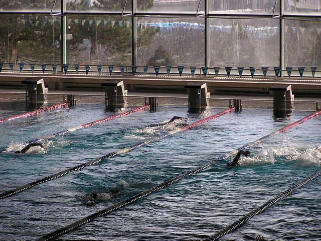 fuzfo_P1213131.JPG
