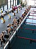 fuzfo_P1213088.JPG