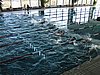 fuzfo_P1213089.JPG
