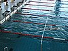 fuzfo_P1213098.JPG