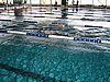 fuzfo_P1213117.JPG