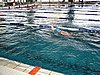 fuzfo_P1213118.JPG