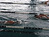 fuzfo_P1213121.JPG