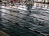 fuzfo_P1213127.JPG