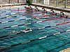 fuzfo_P1213128.JPG