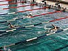 fuzfo_P1213129.JPG