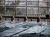 fuzfo_P1213130.JPG