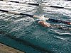 fuzfo_P1213137.JPG