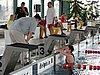 fuzfo_P1213139.JPG