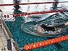 fuzfo_P1213140.JPG