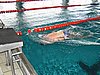 fuzfo_P1213146.JPG