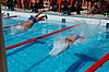 DSC_0767.JPG