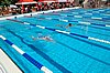 DSC_0785.JPG