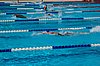 DSC_0864.JPG