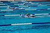 DSC_0865.JPG