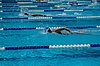 DSC_0867.JPG