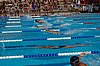 DSC_0873.JPG