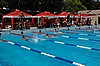 DSC_0877.JPG