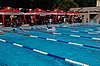 DSC_0884.JPG