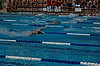 DSC_0890.JPG