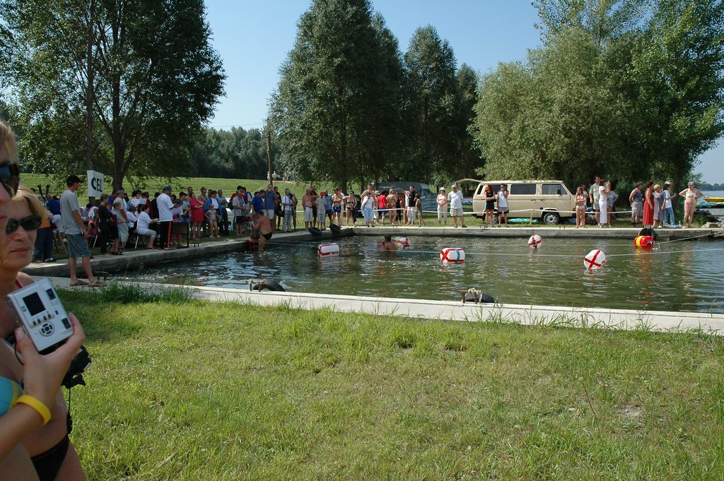 DSC_1396.JPG