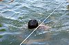 DSC_1410.jpg
