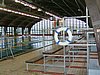 PICT0323.JPG