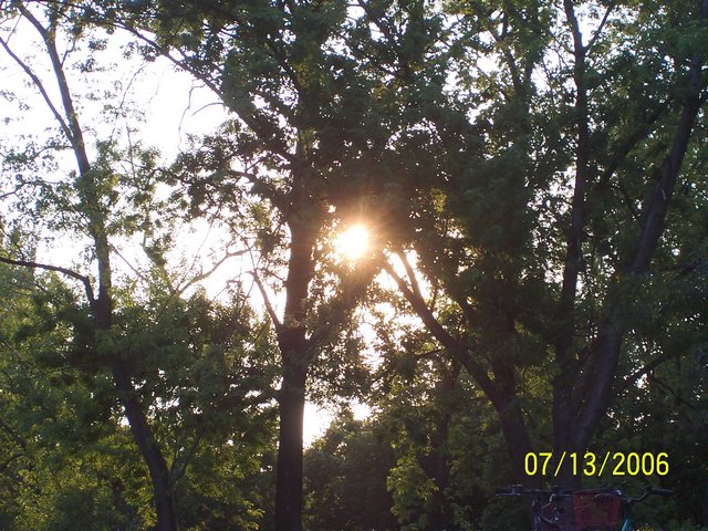 mauricius 014.jpg