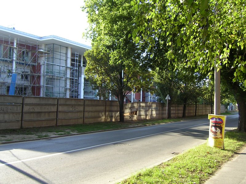 PICT0071.JPG