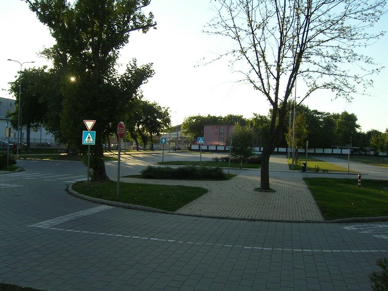 PICT0105.JPG