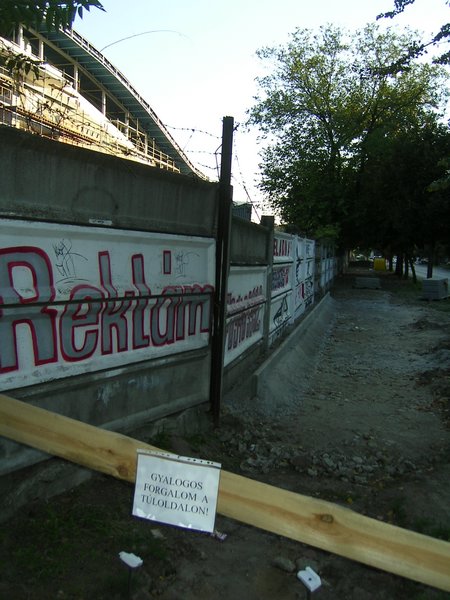 PICT0110.JPG