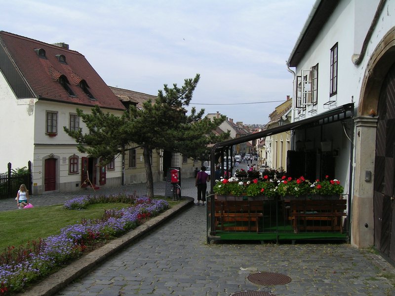PICT0025.JPG