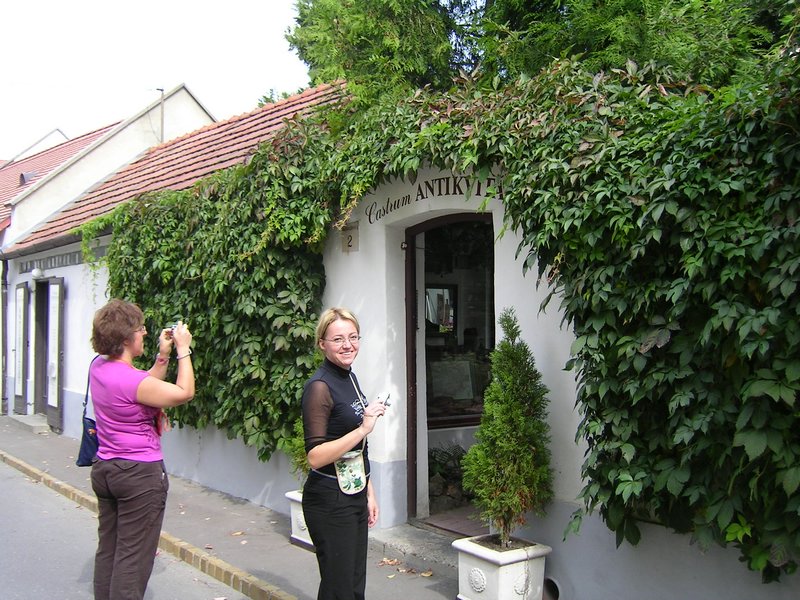 PICT0029.JPG