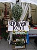 PICT0036.JPG