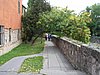 PICT0046.JPG