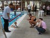 PICT0234.JPG
