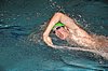 DSC_3862.jpg