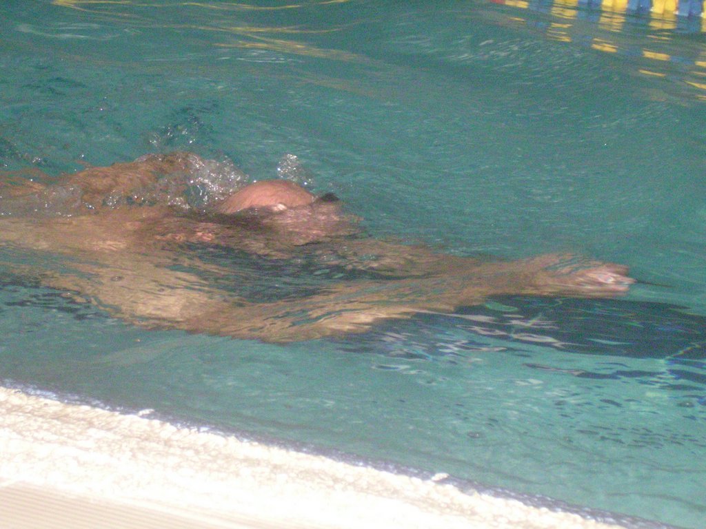 PICT0034.JPG