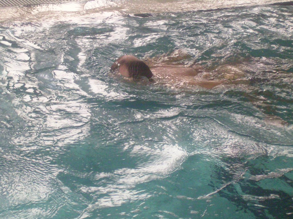 PICT0036.JPG