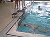 PICT0111.JPG