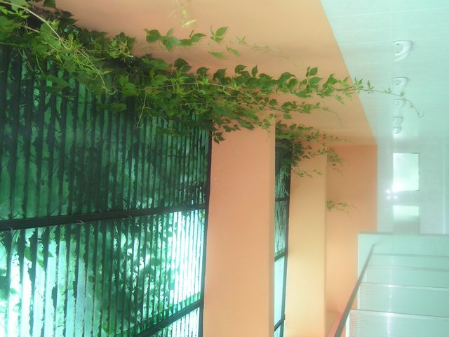 PICT0148.JPG