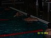100_0554.jpg